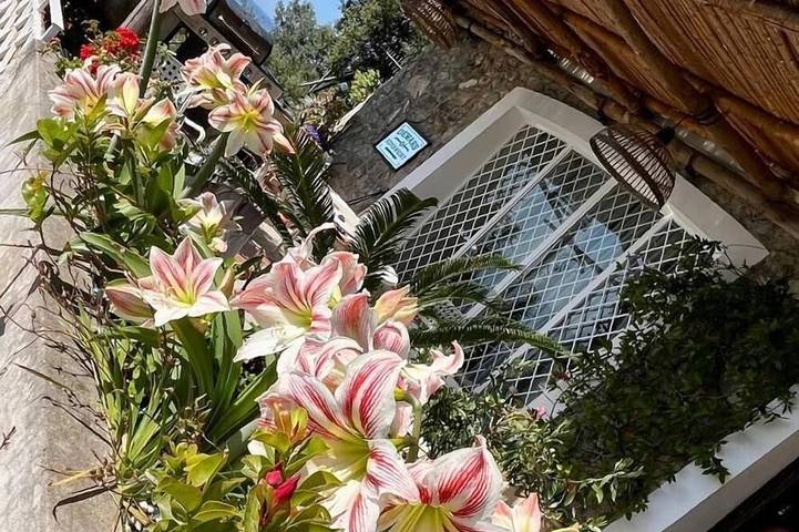 Villa pour 5 personnes, avec Terrasse et Jardin à San Cosma