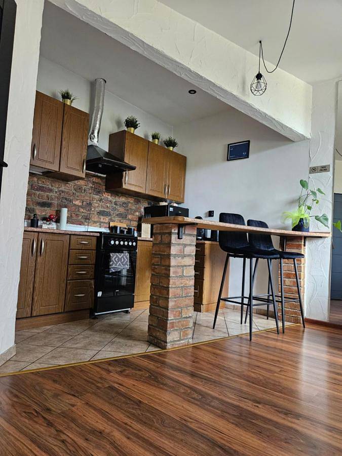 Cały apartament, Loft in Sosnowiec, Śląsk