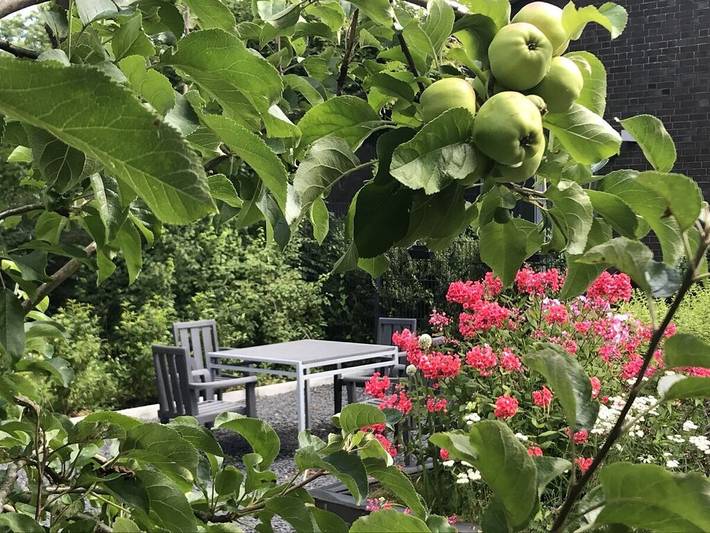 Ferienhaus für 8 Personen, mit Garten in Wilhelmshaven - 4
