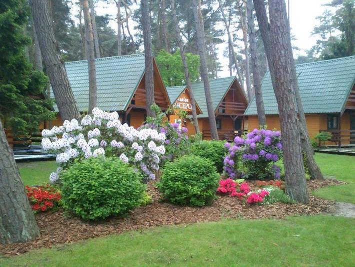 Dom dla 6 osób, z widok i ogród, zwierzęta dozwolone - 1