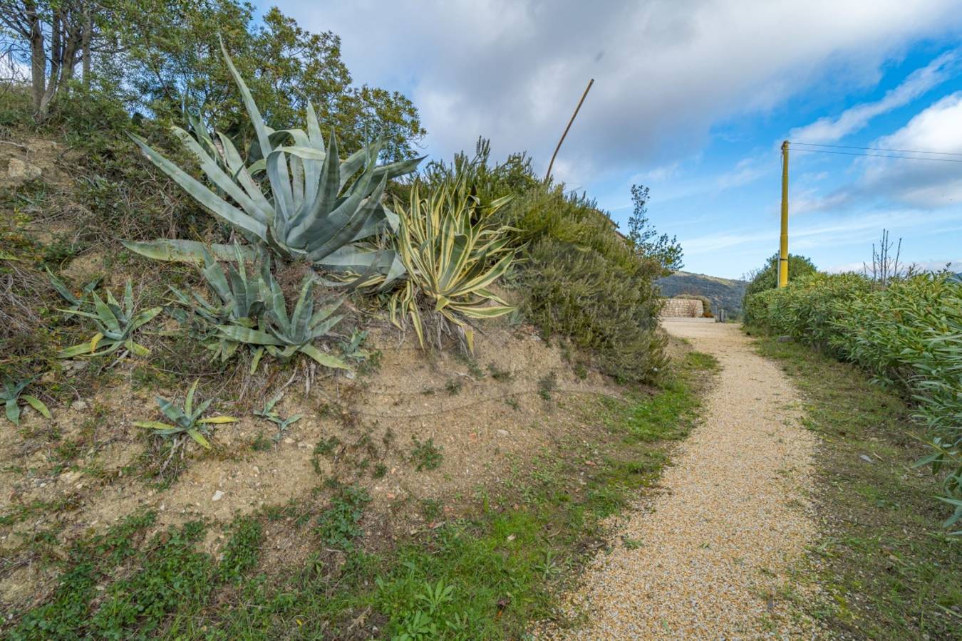 Ganze Ferienwohnung, Ferienwohnung für 4 Personen mit Garten in La Pila, Campo nell'Elba