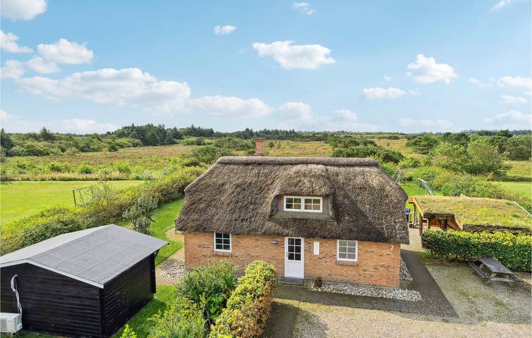 Ferienhaus für 6 Personen, mit Sauna und Whirlpool sowie Garten und Terrasse, mit Haustier in Skaven Strand - 3