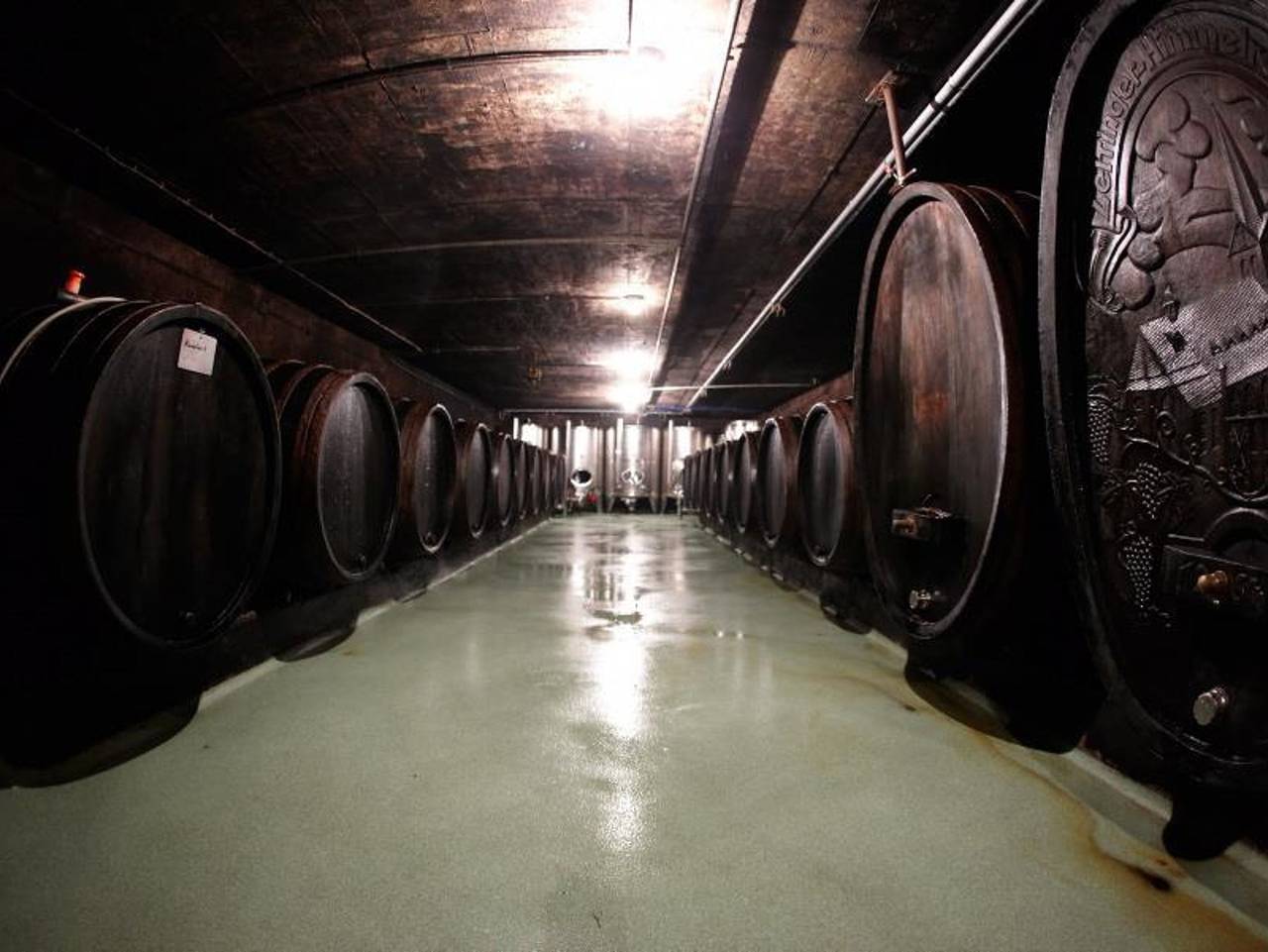 Ganze Ferienwohnung, Weingut Ackermann - Ferienwohnung 2 in Zeltingen-Rachtig, Bernkastel-Kues & Umgebung