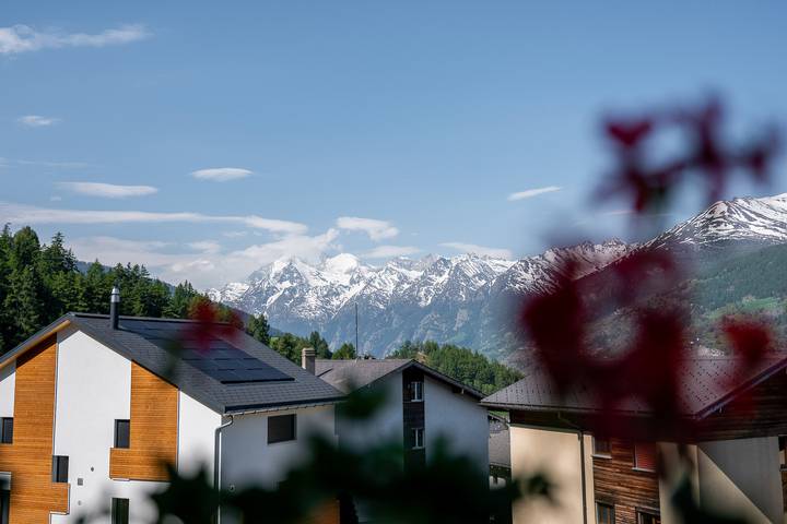 Ganze Ferienwohnung, Studio Arve in Visperterminen, Walliser Alpen