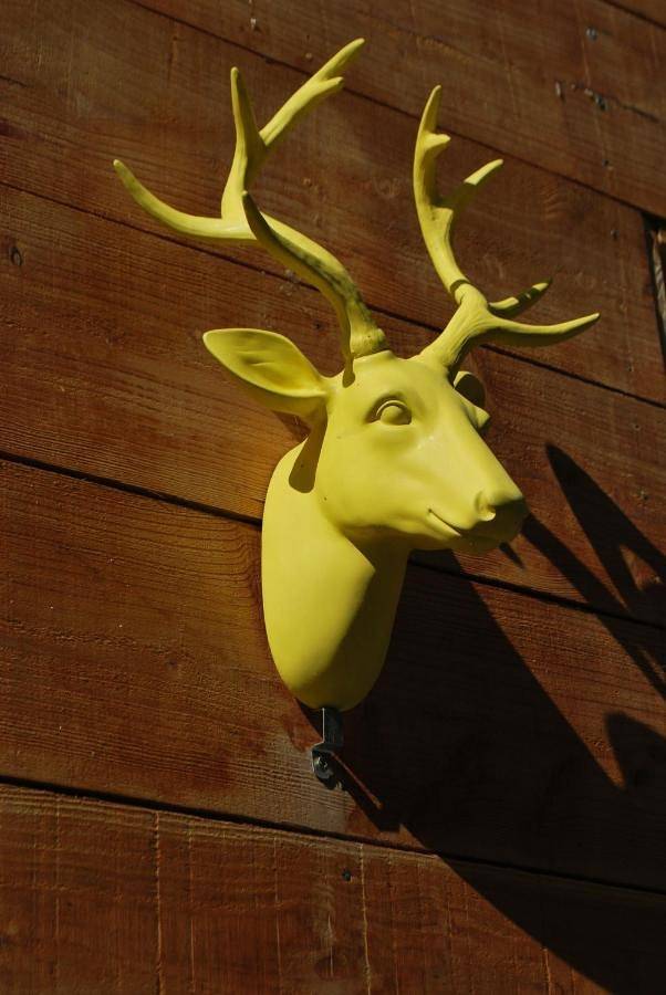 Natangora in Marcillac-Vallon, Aveyron