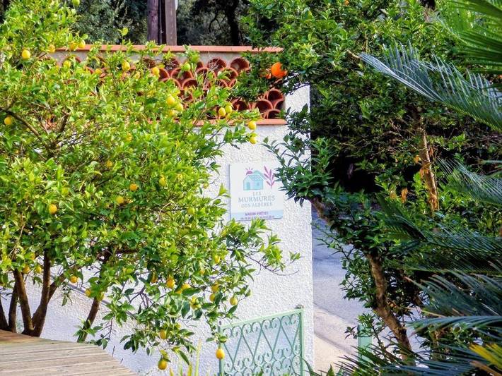Gîte pour 4 personnes, avec jardin et vue dans La Vallée Heureuse à Sorède - 3