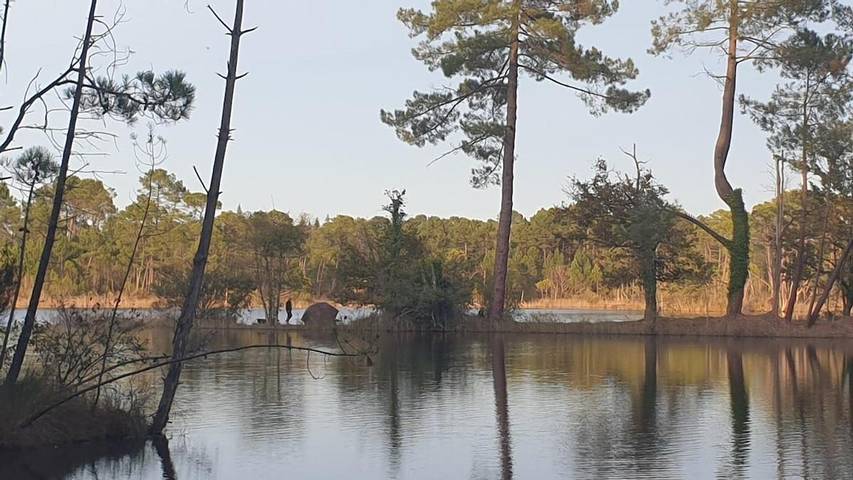 Location de vacances pour 11 personnes, avec bassin pour enfant et jardin ainsi que vue sur le lac et vue, animaux acceptés à Hostens - 4