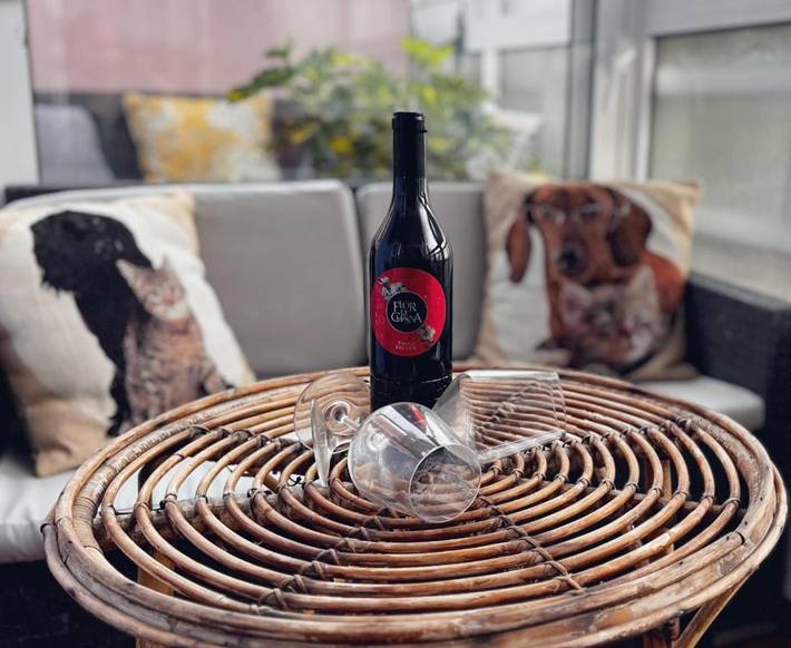 Gîte pour 4 personnes, avec piscine et jardin dans Cho - 4