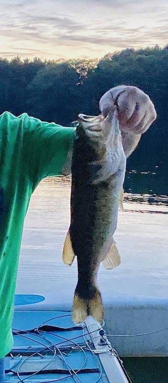 Friedliche Seeuferpromenade mit Schwimmsteg und Kajaks! Volle Küche! Wärme & Luft! in Boothbay Harbor, Lincoln County (Maine)