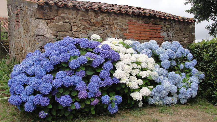 Gîte pour 10 personnes, avec terrasse et jardin en Vendée - 3