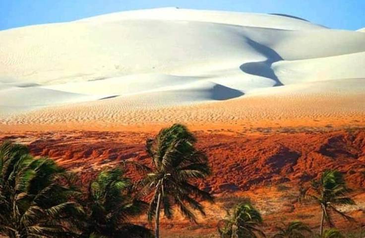 Hôtel pour 4 personnes, avec piscine et terrasse, animaux acceptés à Areia Branca - 4