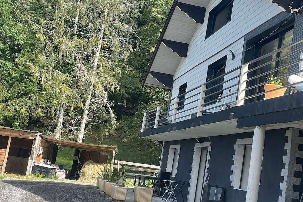 Detached house in Douvaine, Thonon-les-Bains region