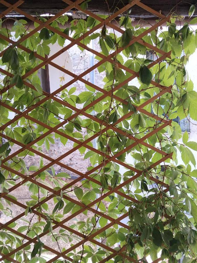 Gîte pour 2 personnes, avec Balcon ainsi que Terrasse et Vue à Rieti - 4