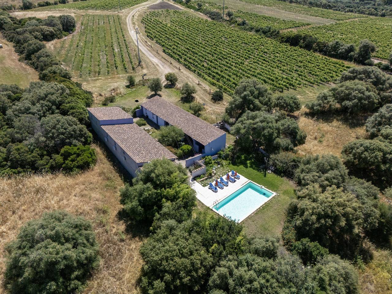 Oliviola in Viddalba, Sassari Provinz