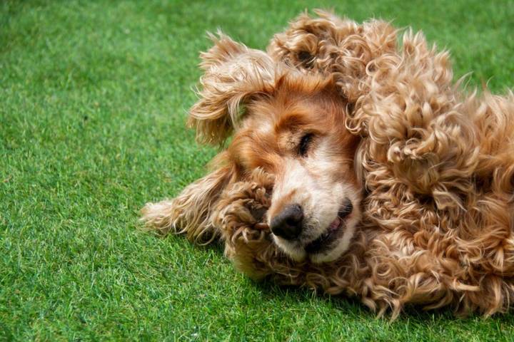 Apartamento de vacaciones para 4 personas, con balcón, Familias con niños en Costa Occidental (Cantabria) - 3