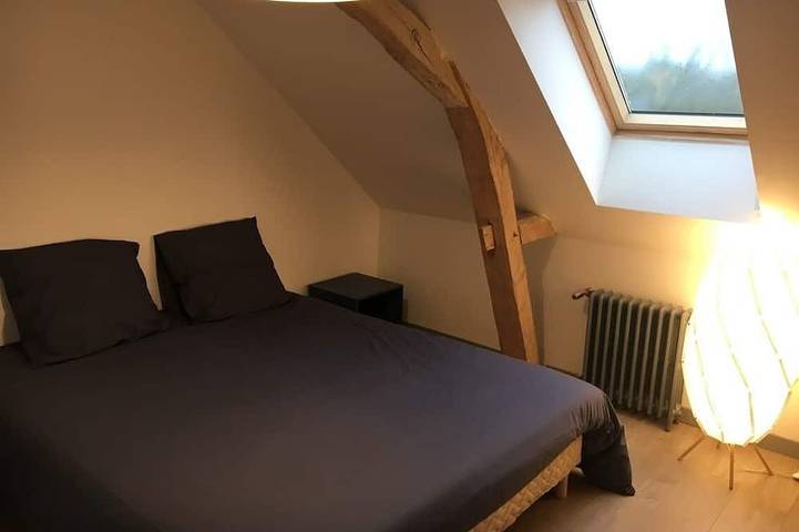 Gîte pour 6 personnes, avec terrasse et jardin, animaux acceptés à Allonnes - 4