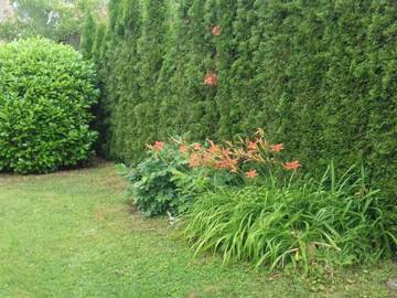 Glamping voor 4 Personen in Bük, West-Transdanubië, Afbeelding 4