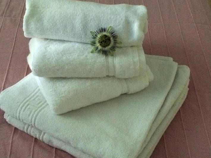 Gîte pour 2 personnes, avec jardin dans Courlay Sur Mer - 3