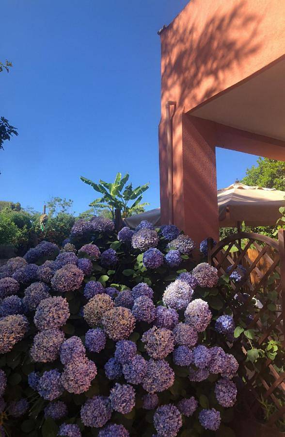 Chambre d’hôte pour 4 personnes, avec jardin et vue à Procida - 2