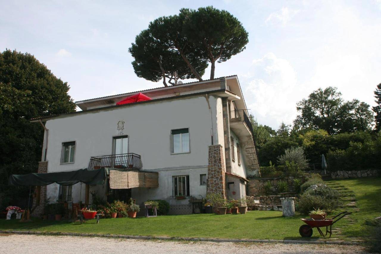 Patrian in Grottaferrata, Castelli Romani