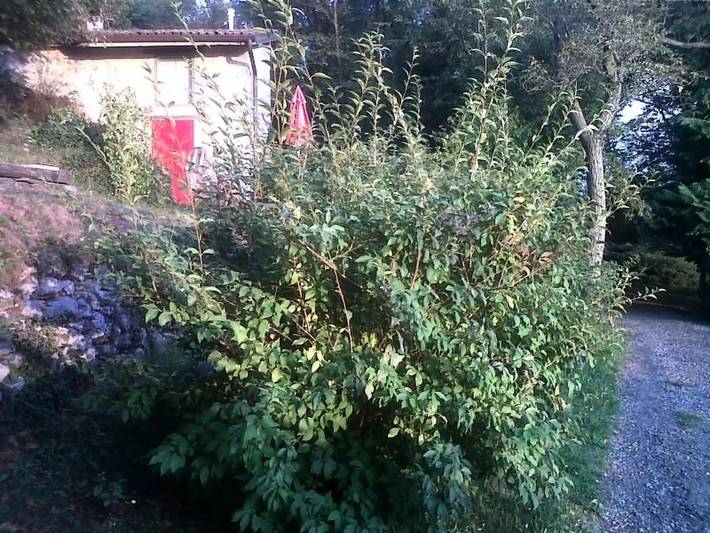 Villa per 4 persone, con piscina e giardino in Provincia di Bergamo