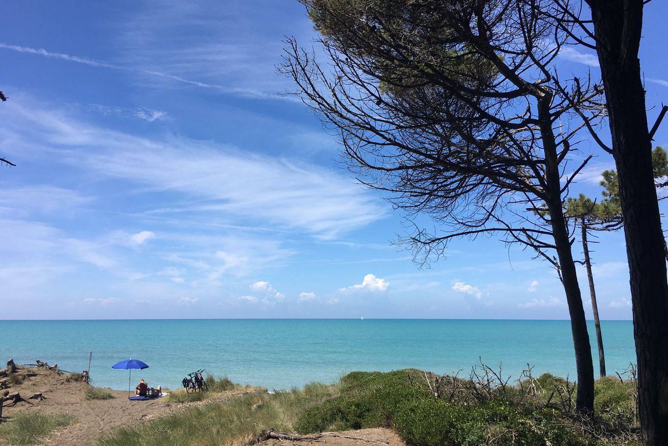 Apartamento entero, Podere Morena private garden with sea view apartment Luca  in Guardistallo, Costa Etrusca