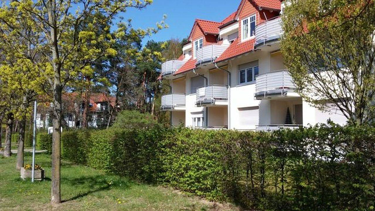 Apartamento vacacional entero, Ferienwohnung für 3 Personen (52 m²) in Bad Saarow in Bad Saarow, Dahme-Seengebiet