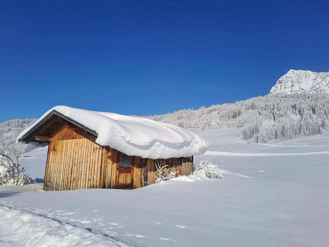Ganze Ferienwohnung, Haus Schedle Ferienwohnung - Ferienwohnung Schedle in Tannheim (Tirol), Allgäuer Alpen (Österreich)