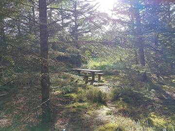 Ferieudlejning til 10 Personer i Lild Strand, Nordwestjütland, Billede 3