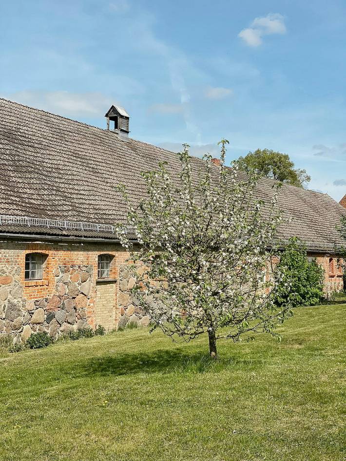 Historisches Gutshaus im Naturpark Stettiner Haff in Strasburg (Uckermark), Vorpommern Greifswald