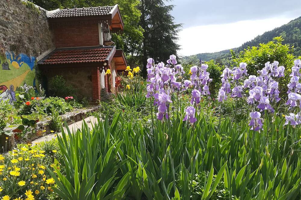 Chambre de Charme Dans une Belle Bâtisse Datant de 1885 in Bourg-Argental, Pilat Regional Nature Park