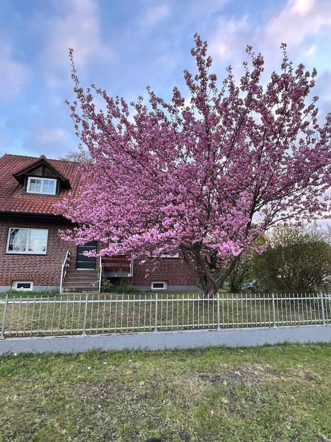 Ferienwohnung für 4 Personen, mit Ausblick in Brieselang