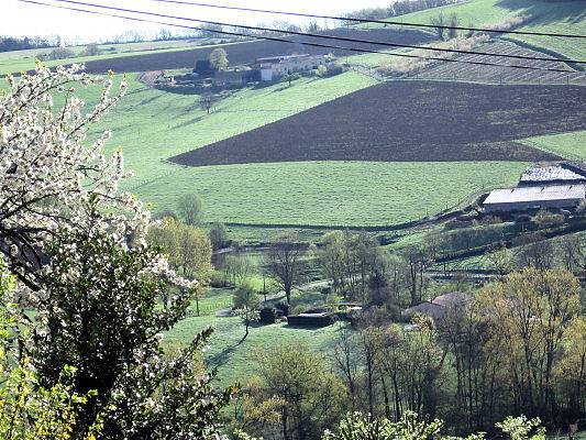Le Clos du Merle - Chambre "Fleur de Cerisier" in Savigny (Rhône), Lyon et ses environs