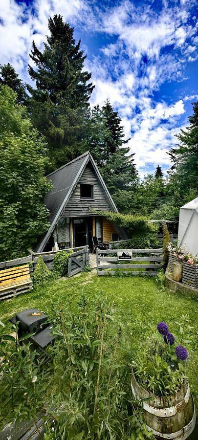Domek letniskowy dla 4 osób, z Balkon i Taras oraz Ogród i Widok w Porąbka