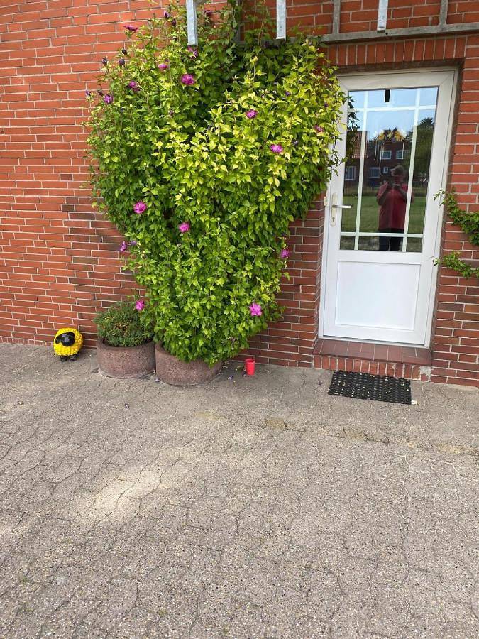 Ferienwohnung für 4 Personen, mit Terrasse und Garten in Altharlingersiel