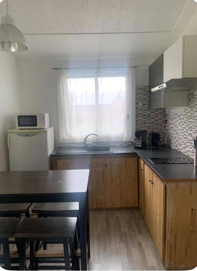 Gîte pour 4 personnes, avec terrasse ainsi que vue et jardin, animaux acceptés à La Plaine-des-Palmistes - 3