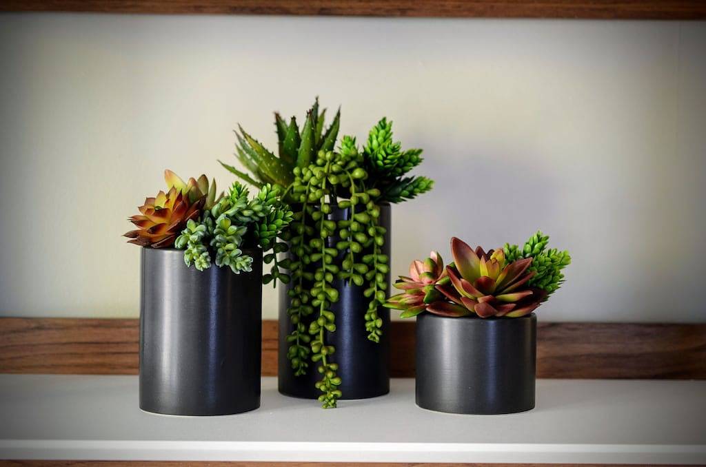 Newly Renovated in Hyde Park—Total Walkability & Elevated Comfort! in Cincinnati, Hamilton County (OH)