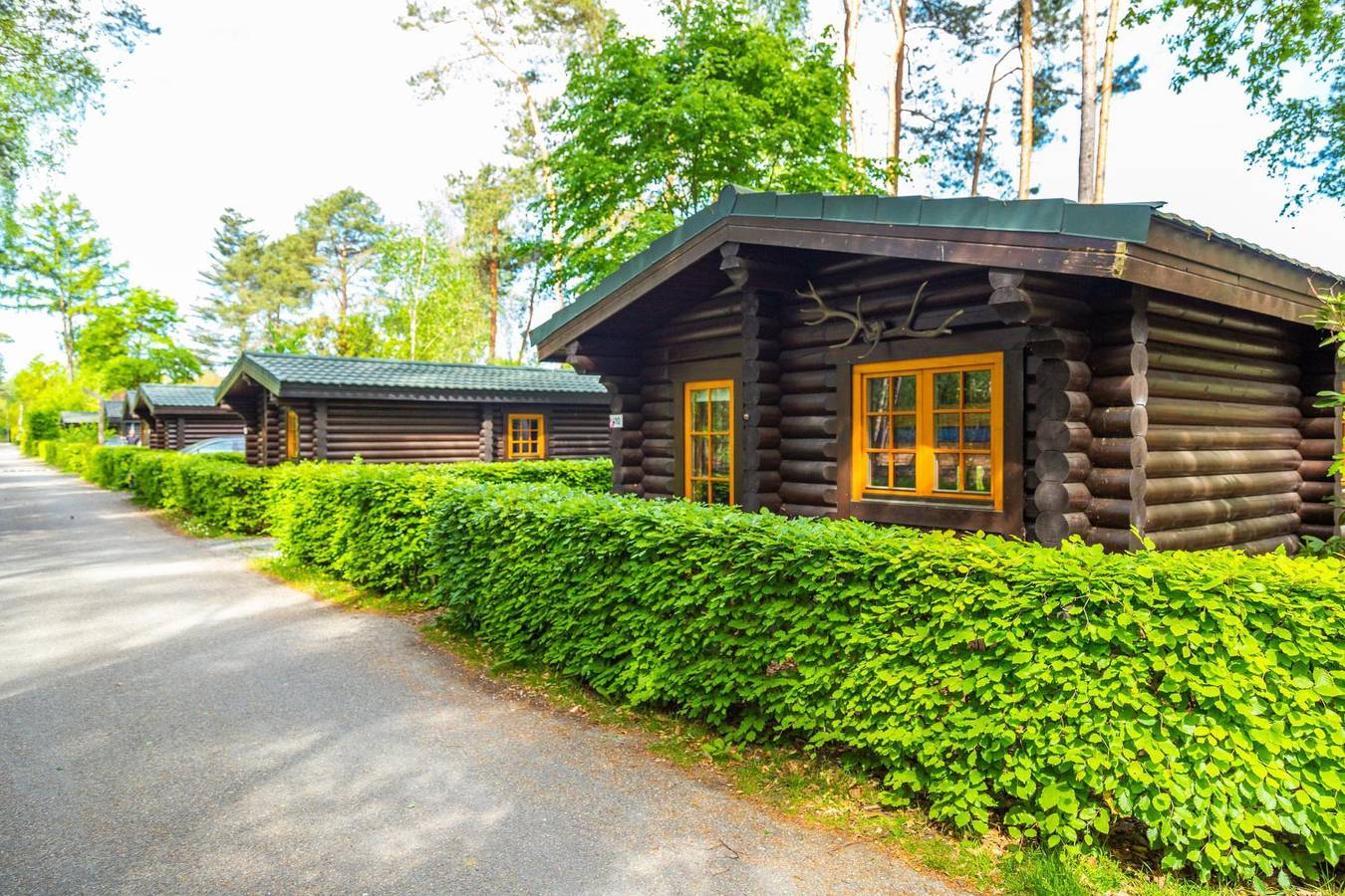 Europarcs De Wije Werelt — Boekhorst 5 in Hoge Veluwe