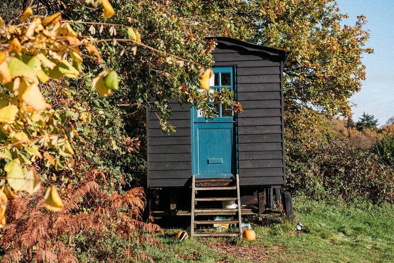 Beautiful, Secluded Shepherd's Hut in the National Park in Rogate, South Downs
