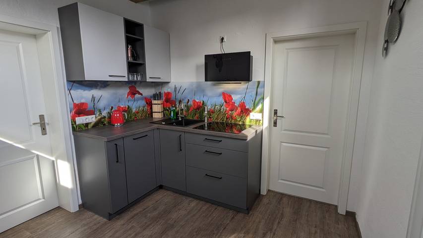 Ferienwohnung für 3 Personen, mit Terrasse in Penzlin - 4
