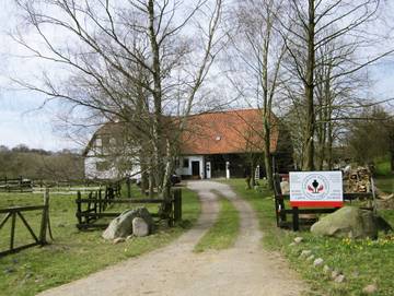 Ferienhaus für 8 Personen in Lalendorf, Mecklenburgische Seenplatte, Bild 1