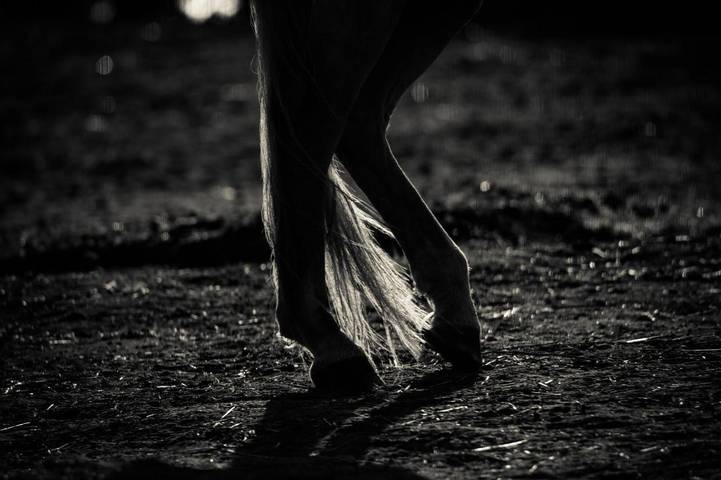 Maison d’hôte pour 2 personnes, avec jardin ainsi que vue et terrasse à Champsac - 2