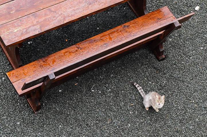 Lodge für 5 Personen, mit Garten - 1