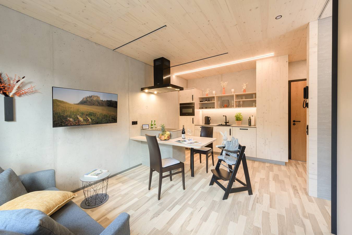 Ganze Ferienwohnung, Hohentwiel Apartments - Deluxe Studio mit Kingsize-Bett, voll ausgestattete Küche, 34 qm in Singen, Hegau