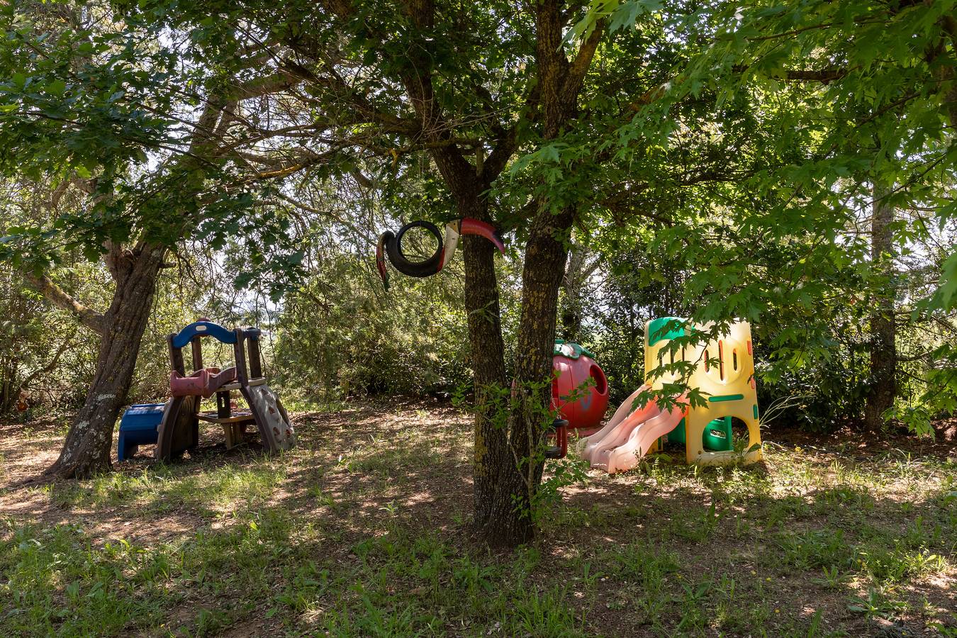 Ganze Wohnung, Appartamento Ciliegia shared Pool in Roccastrada, Grosseto Provinz