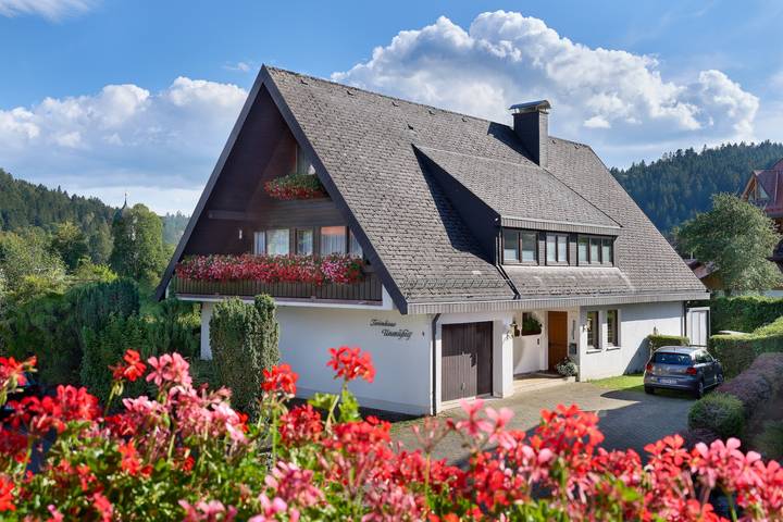 Entire apartment, Apartment 'Wohnung 2 Mit Balkon Und Aussicht' with Balcony and Wi-Fi in Hinterzarten, Southern Black Forest