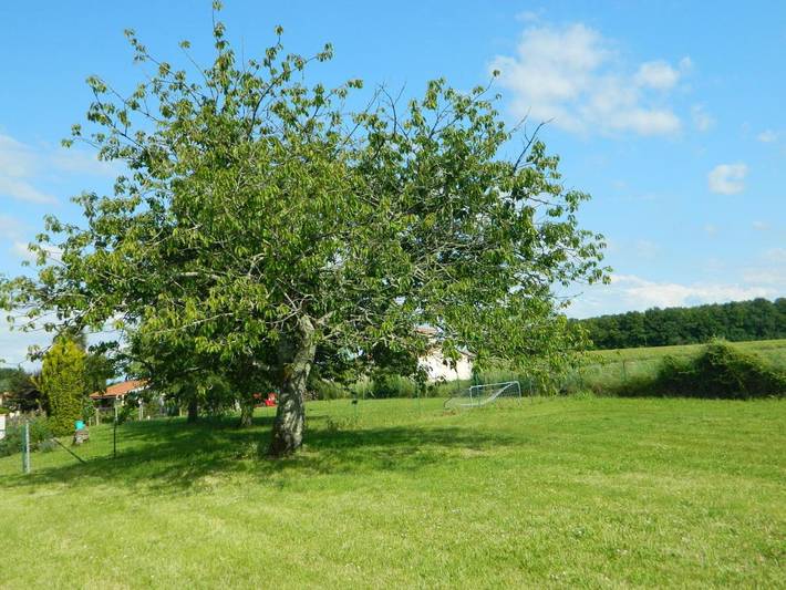 Location de vacances pour 4 personnes, avec vue et jardin, adapté aux familles à Saint-Hilaire-du-Bois - 2