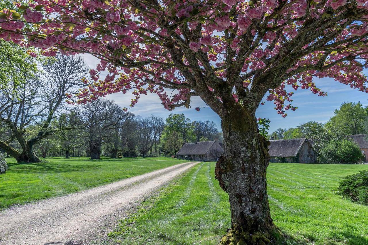 Gîtes les Muids - Les "Oiseaux" et la "Ferme" in Brinon-sur-Sauldre, Sologne