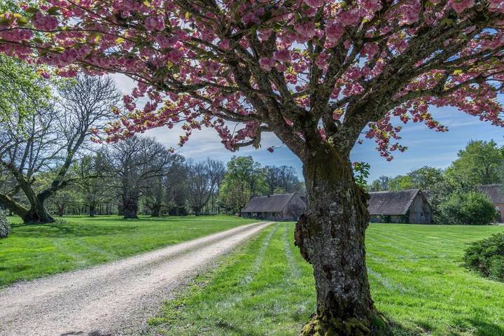 Maison de campagne pour 12 personnes, avec Terrasse et Jardin ainsi que Piscine et Vue