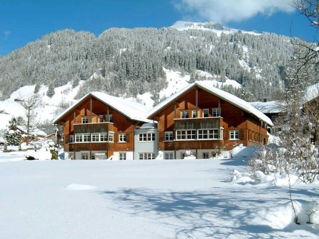 Ferienwohnung für 4 Personen in Schoppernau, Allgäuer Alpen (Österreich)